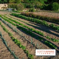 Le Château de Vault-de-Lugny, un écrin royal à deux heures de Paris