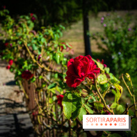 Le Château de Vault-de-Lugny, un écrin royal à deux heures de Paris