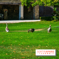 Le Château de Vault-de-Lugny, un écrin royal à deux heures de Paris