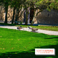 Le Château de Vault-de-Lugny, un écrin royal à deux heures de Paris