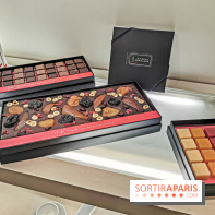 Les bûches et chocolats de Noël 2019 de Nicolas Bernardé