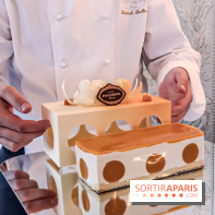 Les Bûches de Noël 2019 de Café Pouchkine -  les photos