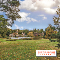 Le parcours des Arbres Admirables dans le domaine du château de Versailles