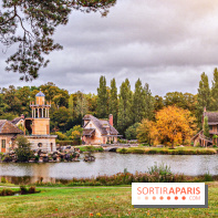 Le parcours des Arbres Admirables dans le domaine du château de Versailles