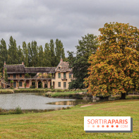 Le parcours des Arbres Admirables dans le domaine du château de Versailles