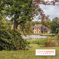 Le parcours des Arbres Admirables dans le domaine du château de Versailles