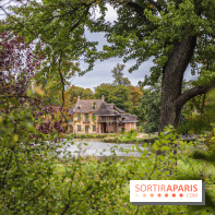 Le parcours des Arbres Admirables dans le domaine du château de Versailles