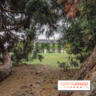 Le parcours des Arbres Admirables dans le domaine du château de Versailles