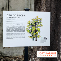 Le parcours des Arbres Admirables dans le domaine du château de Versailles