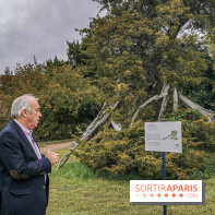 Le parcours des Arbres Admirables dans le domaine du château de Versailles
