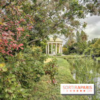 Le parcours des Arbres Admirables dans le domaine du château de Versailles