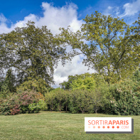 Le parcours des Arbres Admirables dans le domaine du château de Versailles