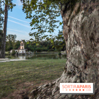 Le parcours des Arbres Admirables dans le domaine du château de Versailles