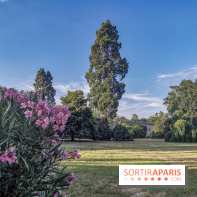 Le parcours des Arbres Admirables dans le domaine du château de Versailles