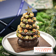 Les Bûches de Noël 2019 de Christophe Michalak