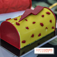 Les Bûches de Noël 2019 de Christophe Michalak