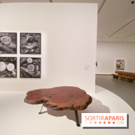 Charlotte Perriand à la Fondation Vuitton