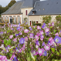 Le Jardin de l'Automne du Château de Cheverny