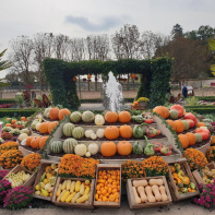 Le Jardin de l'Automne du Château de Cheverny