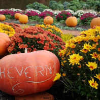 Le Jardin de l'Automne du Château de Cheverny