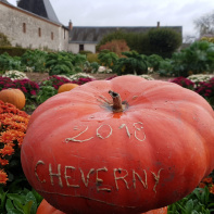 Le Jardin de l'Automne du Château de Cheverny