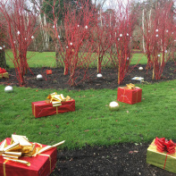 Noël 2019 au Château de Cheverny