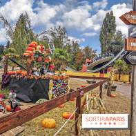 Halloween à la Mer de sable 2019 - disque