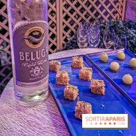 Les Ambassadeurs, le nouveau bar du Crillon