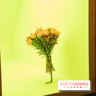 Futur, Ancien, Fugitif, l'exposition au Palais de Tokyo - nos photos