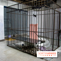 Futur, Ancien, Fugitif, l'exposition au Palais de Tokyo - nos photos