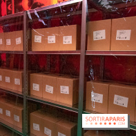 Futur, Ancien, Fugitif, l'exposition au Palais de Tokyo - nos photos