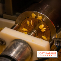 Madison Caffe, le meilleur restaurant de pâtes fraîches de Paris