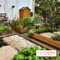 L'Hôtel des Grands Boulevards inaugure son potager suspendu