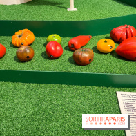 Je mange donc je suis au Musée de l'Homme