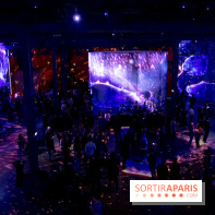 Immersive Art Festival 2019 à L'Atelier des Lumières à Paris