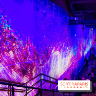 Immersive Art Festival 2019 à L'Atelier des Lumières à Paris