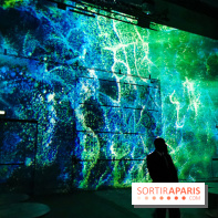 Immersive Art Festival 2019 à L'Atelier des Lumières à Paris