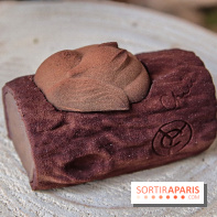 Les Bûches de Noël 2019 de Yann Couvreur