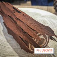 Les Bûches de Noël 2019 de Yann Couvreur