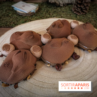 Les Bûches de Noël 2019 de Yann Couvreur