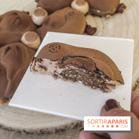 Les Bûches de Noël 2019 de Yann Couvreur