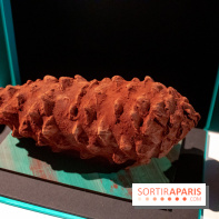 Chocolats de Noël 2019 de Patrick Roger 