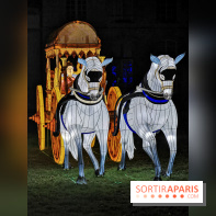 Thoiry Lumières Sauvages 2019 - photos 