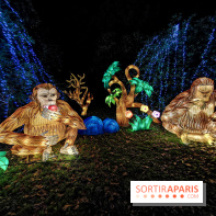 Thoiry Lumières Sauvages 2019 - photos 