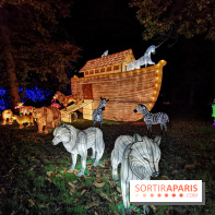 Thoiry Lumières Sauvages 2019 - photos 