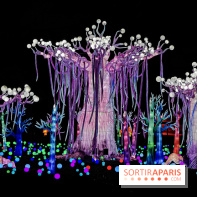 Thoiry Lumières Sauvages 2019 - photos 