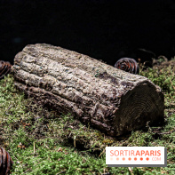 Le Salon du Chocolat 2019, les photos bûche Plaza