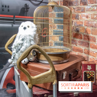 Wizarding World, la boutique officielle Harry Potter au Village JouéClub de Paris