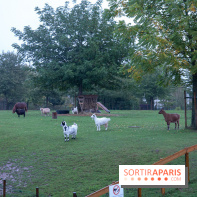 Campanile Val de France : nos photos