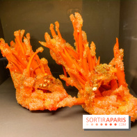 Marche et Démarche au Musée des Arts Décoratifs